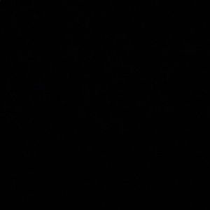 Meet your Posher, Kyran